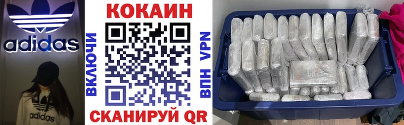 купить сайты Советск Cocaine Fish Scale