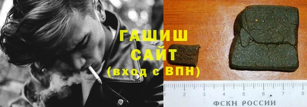 твердый Гусев