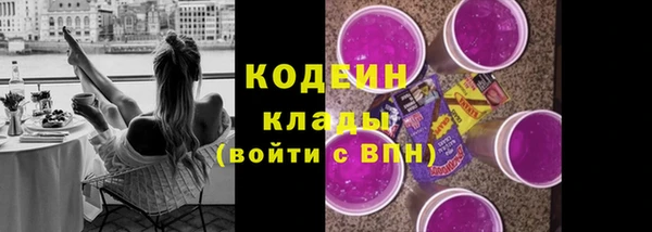 стаф Снежногорск