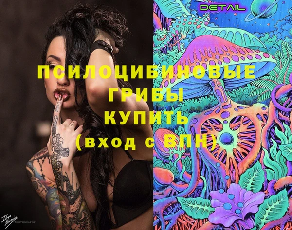 хмурый Слюдянка