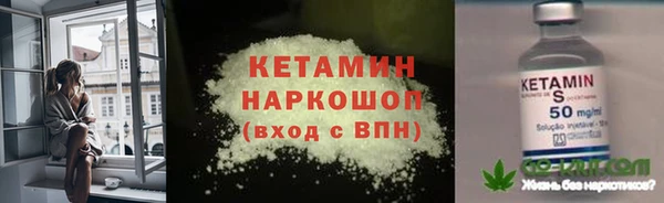 стаф Снежногорск