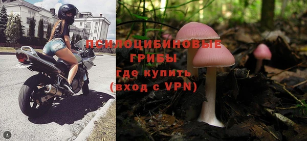 стаф Снежногорск