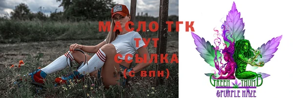 герыч Снежинск